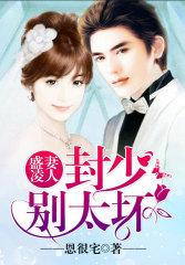 盛芷封霁全文阅读